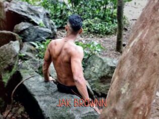 JAK_BROWNN