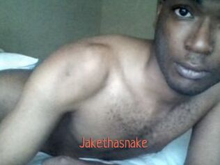 Jake_tha_snake