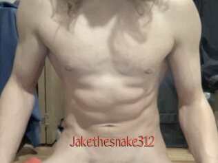 Jakethesnake312