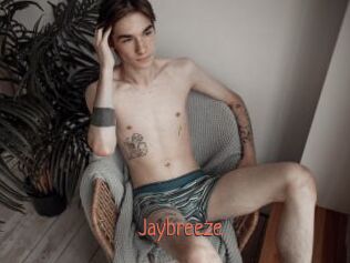 Jaybreeze