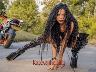 katevanhelsing Kachou Fuzoku