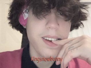 Kingsnowbunny