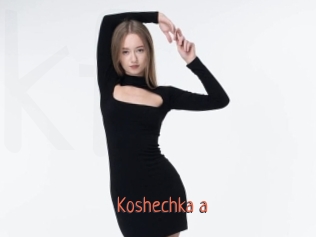 Koshechka_a