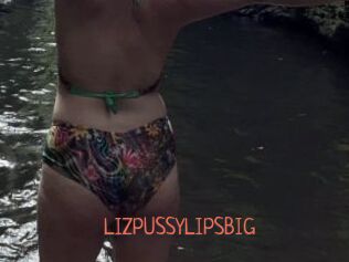 LIZPUSSYLIPSBIG