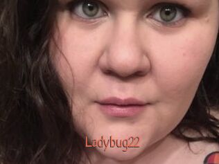 Ladybug22