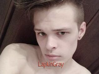 LapkinGray