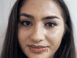 LillyVelvet