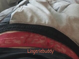 Lingeriebuddy