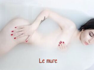 Le_mure