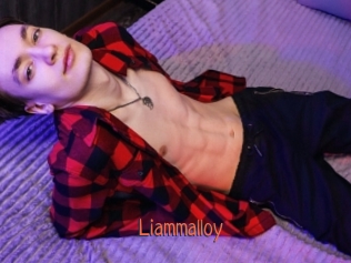 liammalloy Kachou Fuzoku