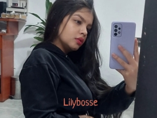 Lilybosse