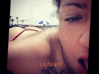 Lilyflower