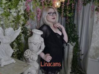 Linacams