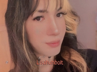 Lisahumbolt