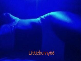 Littlebunny66