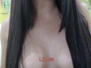 Lizcam