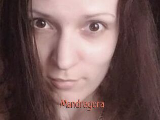 Mandragora