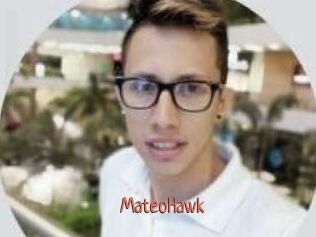 MateoHawk