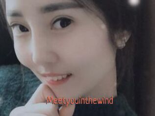 Meetyouinthewind