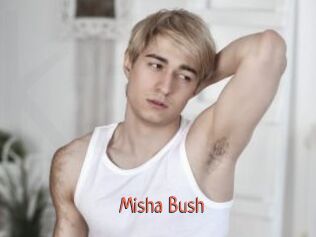 Misha_Bush