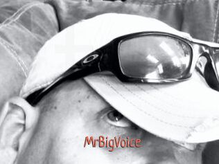 MrBigVoice