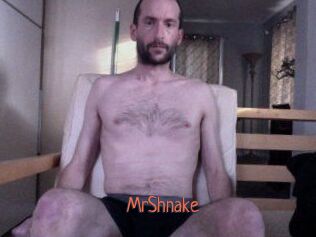 MrShnake