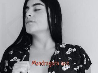 Mandragora_lust