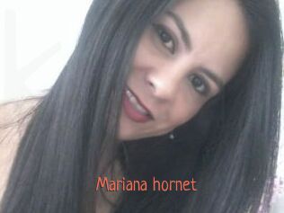 Mariana_hornet