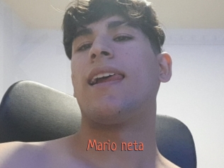 Mario_neta