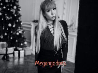 Megangodnes