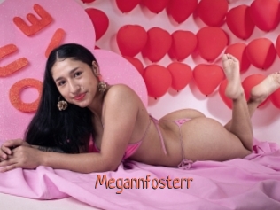 Megannfosterr