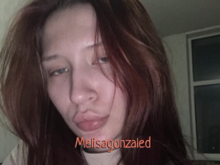 Melisagonzaled