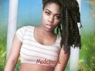 Modelmook