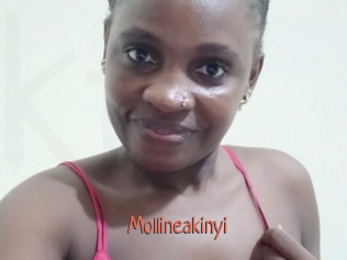 Mollineakinyi