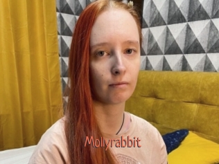 Mollyrabbit