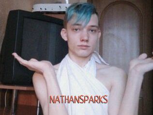 NATHAN_SPARKS