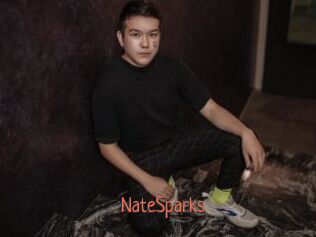 NateSparks