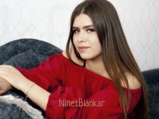 NinetBlankar