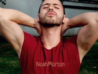 NoahMorton