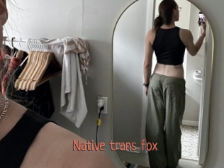 Native_trans_fox