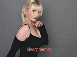 Neonprimrose