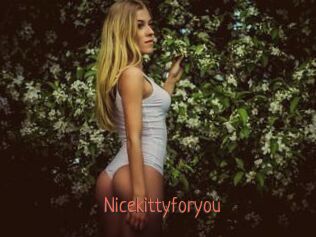 Nicekittyforyou