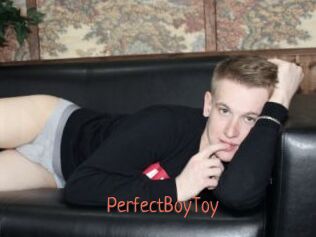 PerfectBoyToy