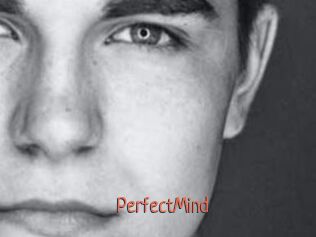 PerfectMind