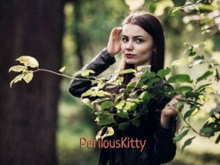 Perilous_Kitty