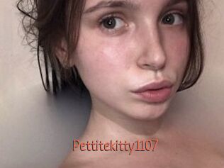 Pettitekitty1107