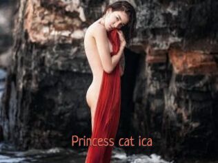 Princess_cat_ica