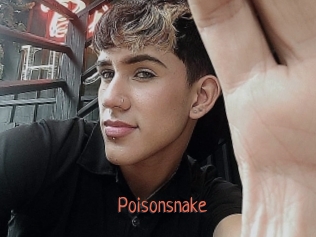 Poisonsnake