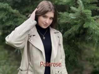 Pollerose