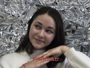 Pollybrucker